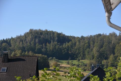 Bild 81 aus Chatter-Treffen 2024 in Breidenbach